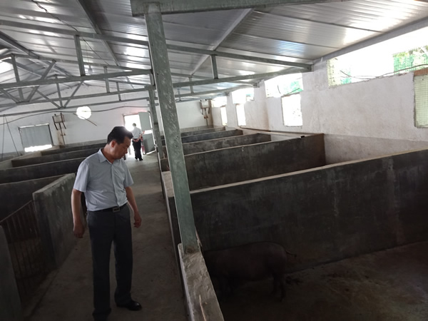 隴運集團(tuán)公司深入寧強(qiáng)村開展迎“七一” 幫扶主題實踐活動