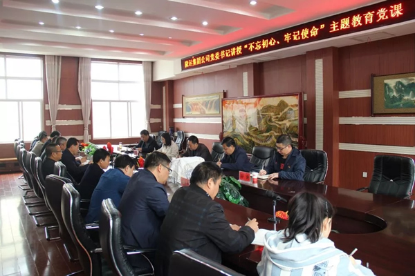 隴運(yùn)集團(tuán)公司召開“不忘初心、牢記使命”主題教育專題黨課