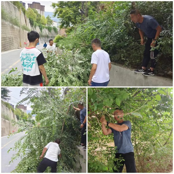 隴運(yùn)集團(tuán)公司工作動態(tài)(7.16—7.24)